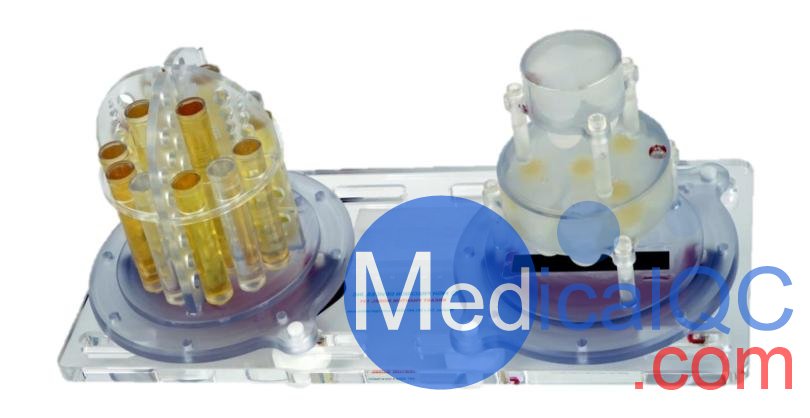 qMRI乳腺成像模體，美國(guó)QalibreMD qMRI定量核磁共振乳腺模體