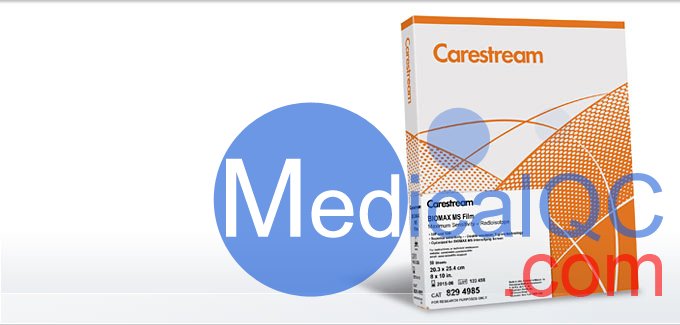 柯達BioMax MS膠片，BMS1 X射線膠片，Kodak BioMax MS科學膠片，Carestream自顯影膠片