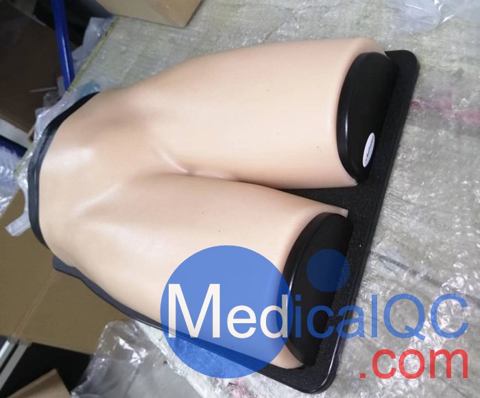 BPF1500-HP血管通路和區(qū)域麻醉超聲訓練模體，BPF1500-HP區(qū)域麻醉超聲模體