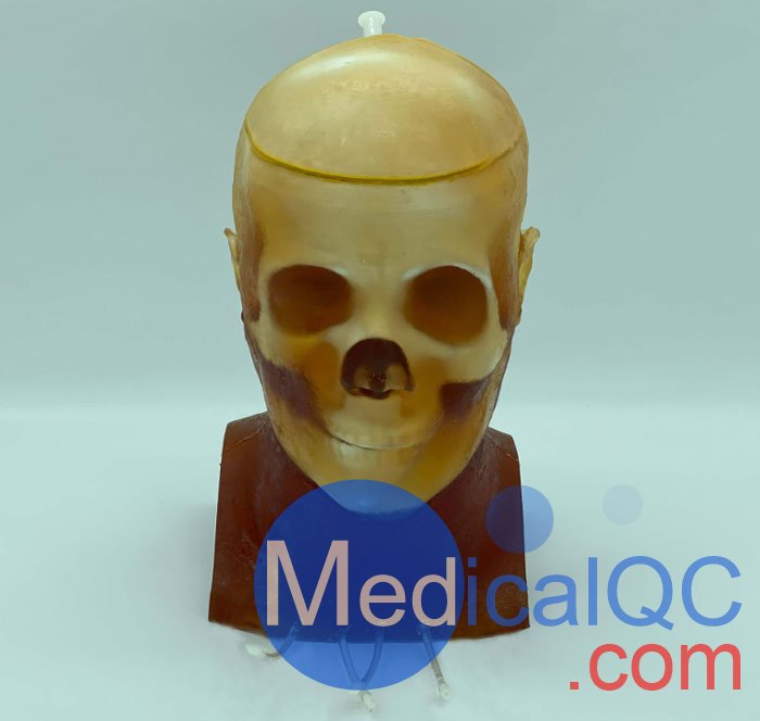 HD-C03成人頭模，HD-C03血管造影頭模，HD-C03頭部模體實(shí)拍圖