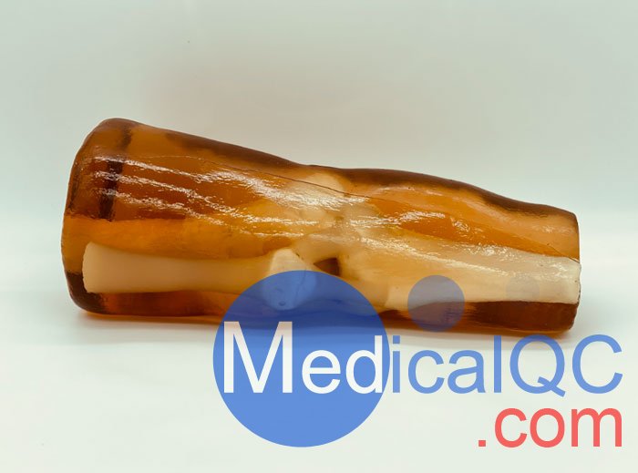 KE-A03成人膝關節(jié)，KE-A03膝關節(jié)模體,KE-A03膝關節(jié)模型成像效果圖