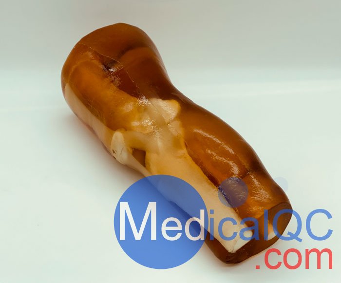 KE-A03成人膝關節(jié)，KE-A03膝關節(jié)模體,KE-A03膝關節(jié)模型成像效果圖
