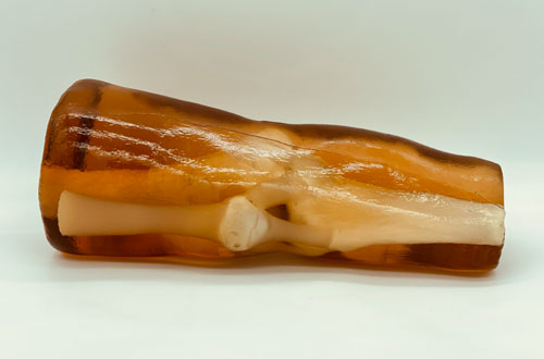 KE-A03成人膝關(guān)節(jié)，KE-A03膝關(guān)節(jié)模體,KE-A03膝關(guān)節(jié)模型