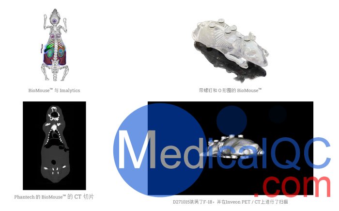 BioMouse模體,BioMouse小鼠模型，Phantech Bio-Mouse多功能小鼠模體