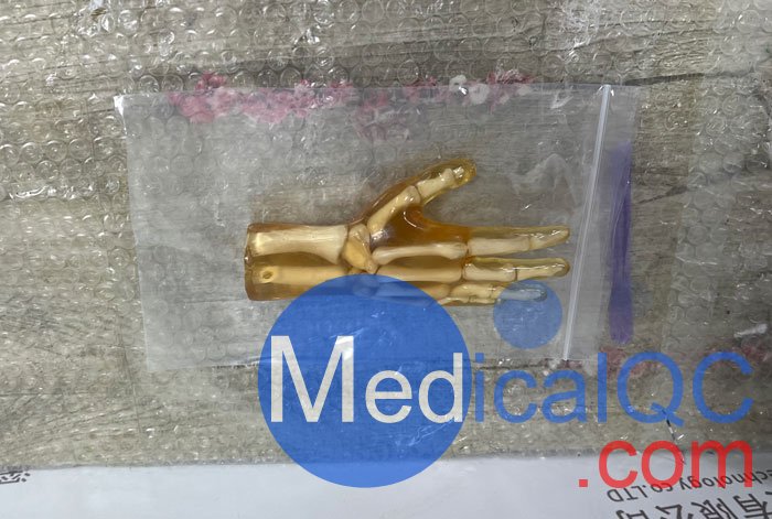HN-P01兒童手掌模體，HN-P01手掌模型產(chǎn)品實拍圖