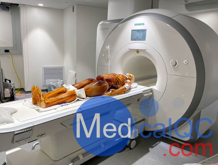 FB-A02成人全身模體,FB-A02全身CT模型，適用于X射線，CT,MRI