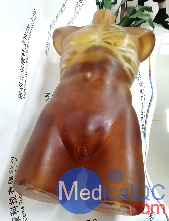 US-A02成人軀干模體，US-A02可用于超聲，CT,X射線成像